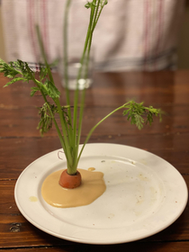 I stuffed a carrot into some sauce I saw on a plate Why does this also look like a  dish celebritys would pay for 