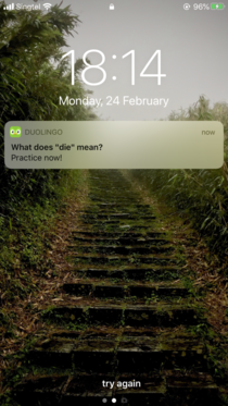 I think Duolingo is trying to tell me something