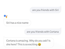 I think Google Assistant has a bit of a crush