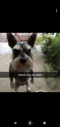 I think he is mad