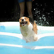 I think he was just a little bit excited about the pool party