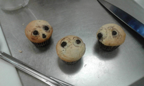 I think I scared the muffins
