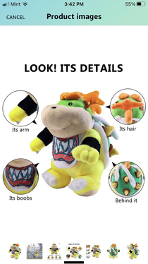 I think Ill buy this Bowser Jr because of the details