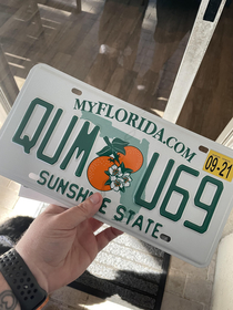 I think Im getting trolled by the Florida DMV 