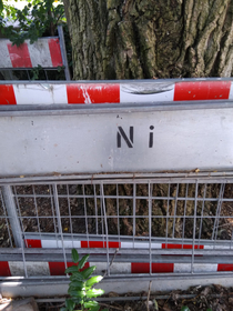 I think Im in the wrong forest