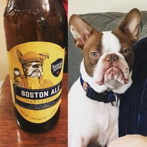 I think my dog needs to get some sort of royalties from Sam Adams