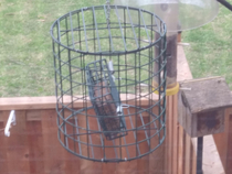 I think my fathers desire to keep squirrels off the bird feeders has gone too far