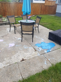 I think my grandkids may have murdered a smirf in our backyard
