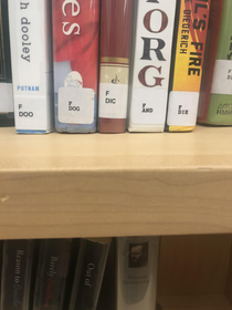 I think my library is trying to tell me something