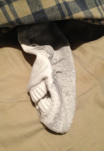 I think my sock is going to kill me