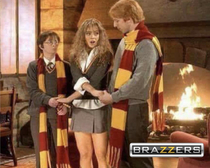I think that I downloaded the wrong Harry Potter film