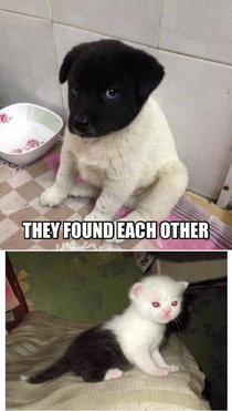 I think they need to swap