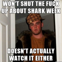 I think this is true of most hype over shark week