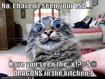 I think you left your lsd in my food