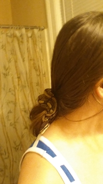 I thought I was getting a marvelous deal on a baby ball python Instead I discovered Ive been overcharged for a decorative scrunchie
