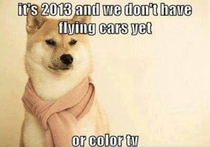 I thought this was supposed to be The Future