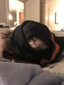 I threw my boxers on my cat and she turned into a Sith Lord