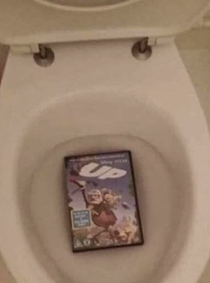 I threw up in the toilet