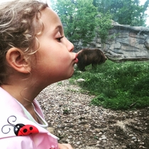 I told my daughter to pretend she was kissing the bear at the zoo
