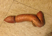 I too had a crazy sweet potato We called it the dictator