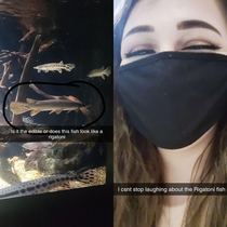 I took edibles for the first time the other day and learned the hard way that I probably shouldnt take them But on the bright side I just looked in my snapchat memories and found these gems from right before everything became terrifying