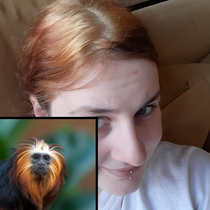 I tried dying my hair My boyfriend said I reminded him of a certain animal