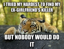 I Tried My Hardest To Find Ex Girlfriends Killer