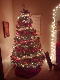 I tried to take a nice picture of my tree but my cat decided to be a meneance