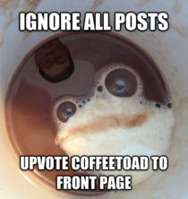 I tried to take a picture of the coffee toad