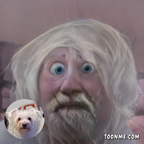 I tried to toon my dog and this is what happened