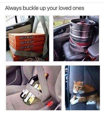 I usually buckle the pizza to the cat