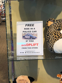 I want a free ride in a police car