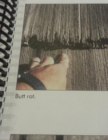 I was at a seminar about roofing damage There was a lot of people there And each one of them turned to stare at me because I was the only to one laugh out loud IN WHAT UNIVERSE IS BUTT ROT NOT FUNNY Im disappointed I expected better you boring ass roofers
