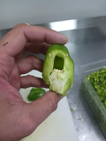 I was cutting a green pepper at workI think he wants to eat me