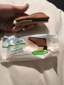 I was excited about the prospect of a dairyless ice cream sandwich