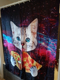 I was in charge of buying a new shower curtain today and purchased the best one in the world SO disagrees