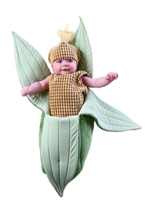 I was looking at pictures of corn and came across this mildly concerned baby corn in a corn husk sleeping bag