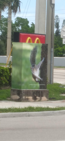 I was stopped at a red light and felt something staring at me scared the crap out of me