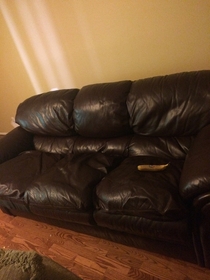 I was trying to buy a couch off of Craigslist and I told her I couldnt tell how big it was from the picture So she sent me this for scale