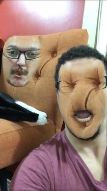 I was trying to faceswap with my cat and got the chair instead