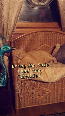 I will not give up my favorite decoration I like captain solo where he is