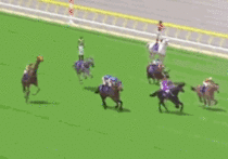 i wish all horse races were like this