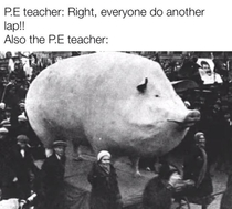 I wonder how theyre PE teachers in the first place