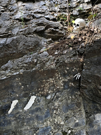 I work at a cave and they put me in charge of decorating for Halloween Probably a mistake on their part