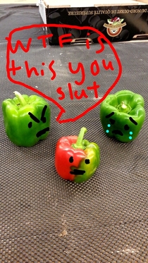 I work in produce at a grocery store Found a pepper that was half red and half green This was my coworkers immediate thought
