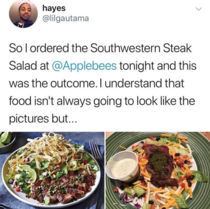 Ich habe das Gefhl dass der Groteil der Speisekarte des Applebee aus ExpectationVsReality besteht