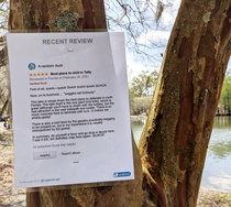 If a duck reviewed the local lake