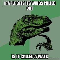 If a fly