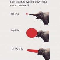 If an elephant wore a clown nose