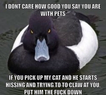 If any animal is visually uncomfortable with you its best that they be left alone